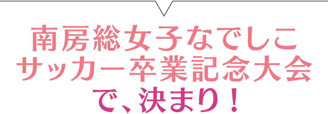 2026年3月南房総女子なでしこサッカー卒業記念大会 サッカー大会 サッカー大会で、決まり!
