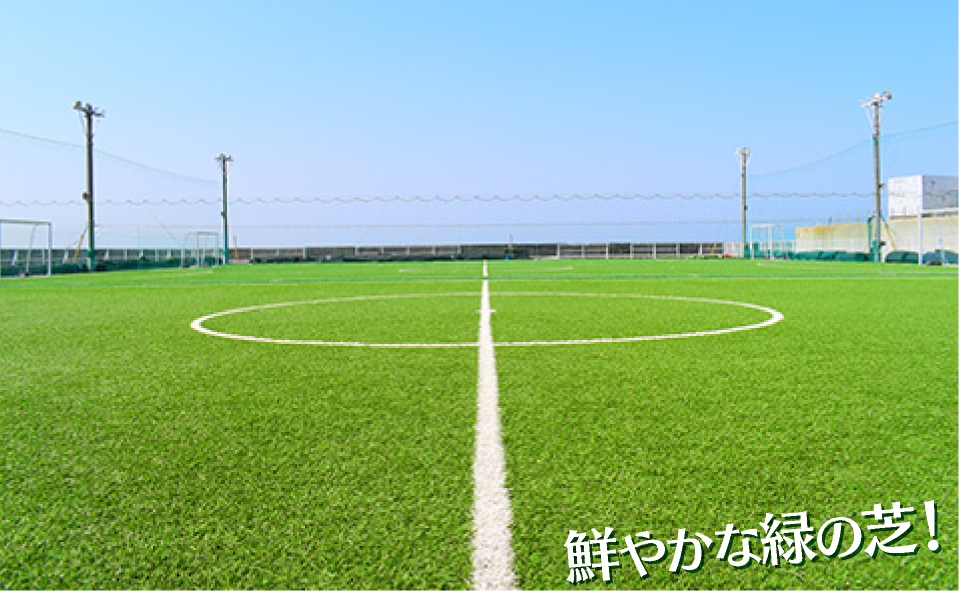 鮮やかな緑の芝！